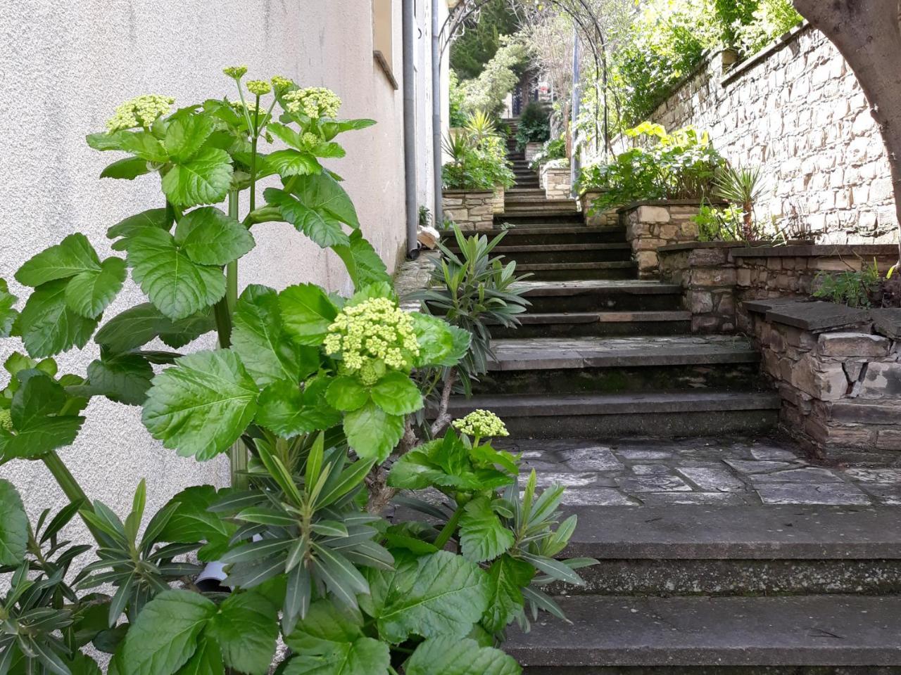 Iosiphis Stonebuilt House Vendégház Páno Léfkara Kültér fotó